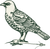 FALANLO